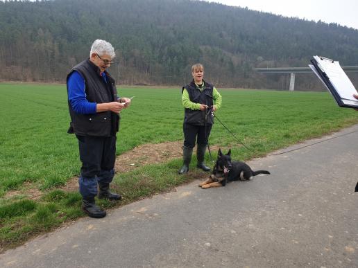 Kerstin Kerkamm mit Hailley von der Osterwiese - Tagessieger IFH 1-